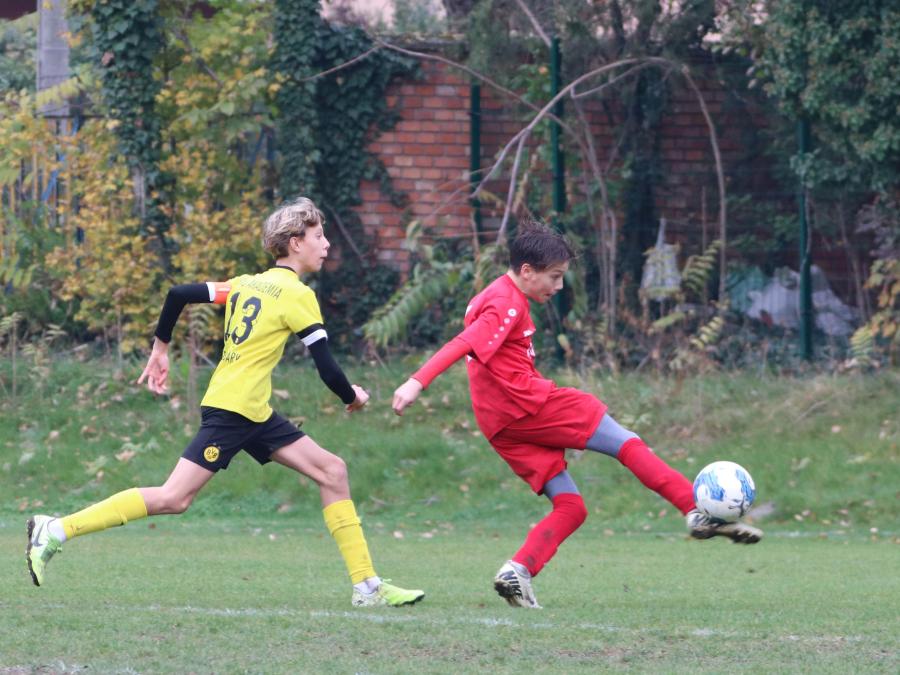 IMG_2437.jpg