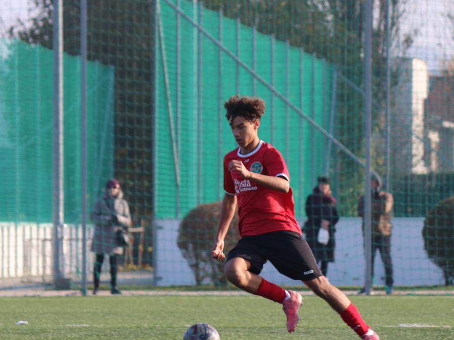 IMG_4410_m_solata.jpg