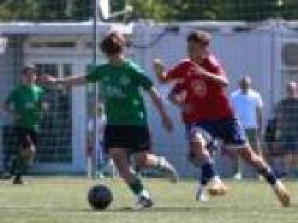 IMG_6709__.jpg
