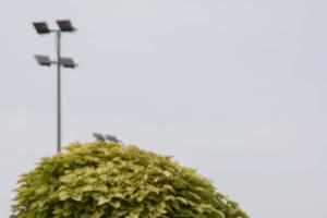 IMG 7902