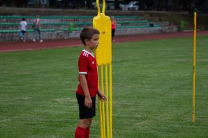 IMG 7945