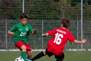 IMG 9288